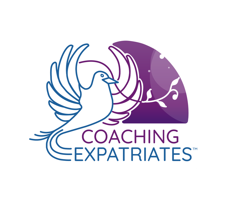 FindMyCRM - CRM Parter: Coaching Expatriates